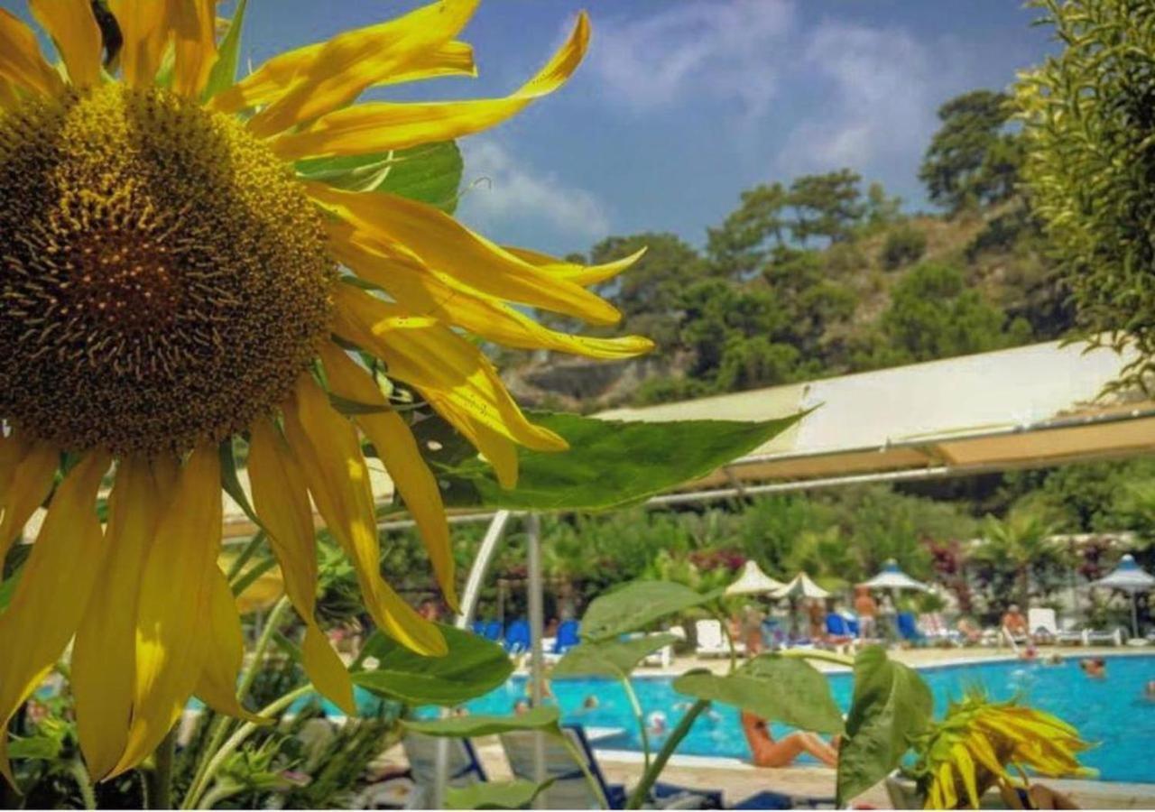 Golden Sunset Hotel&Spa Kemer Exterior foto A view of the pool at the hotel